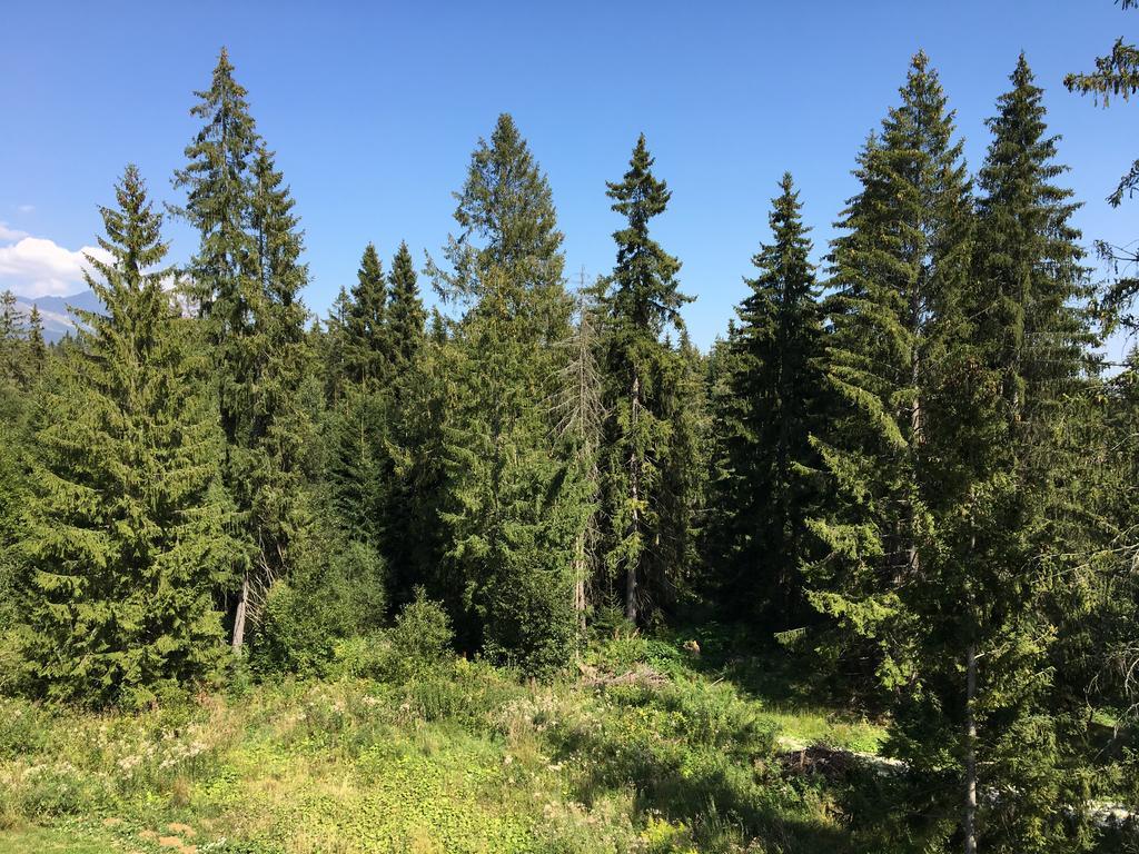 Apartmenty Patris Tatranska Strba Luaran gambar