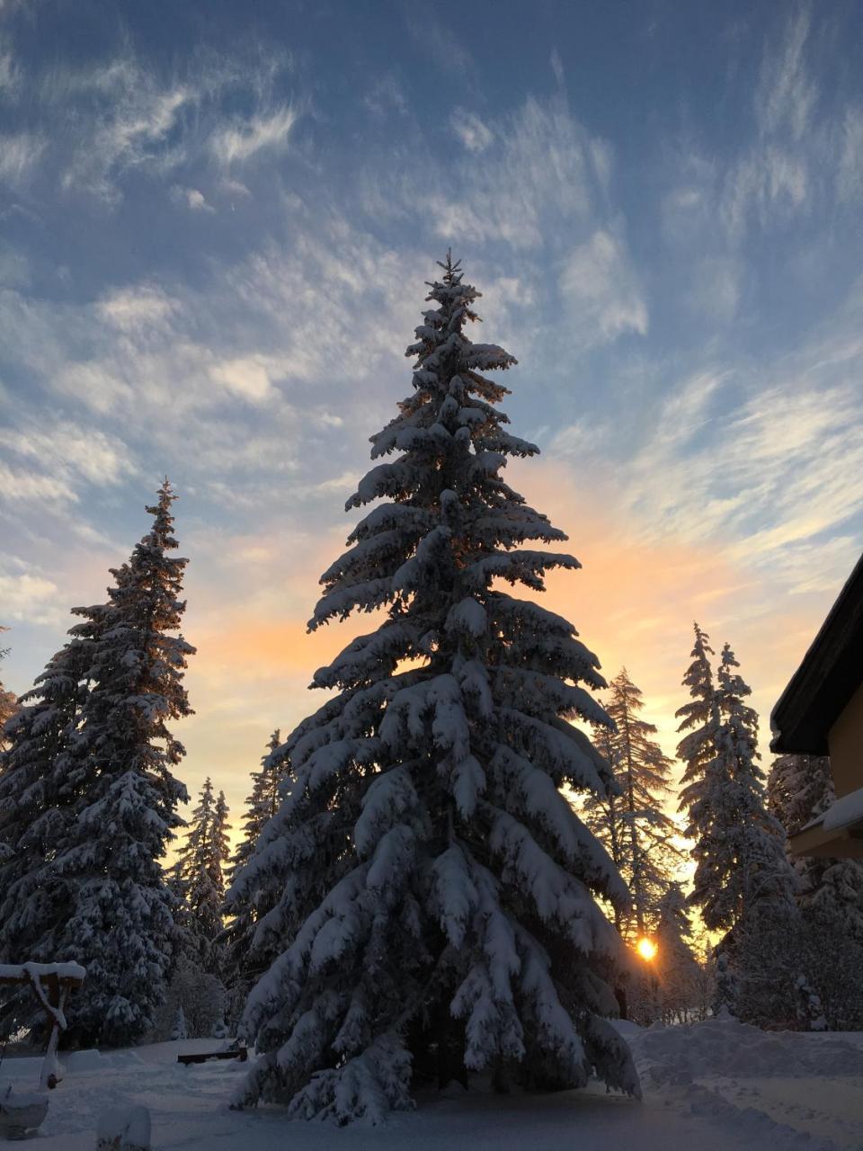 Apartmenty Patris Tatranska Strba Luaran gambar